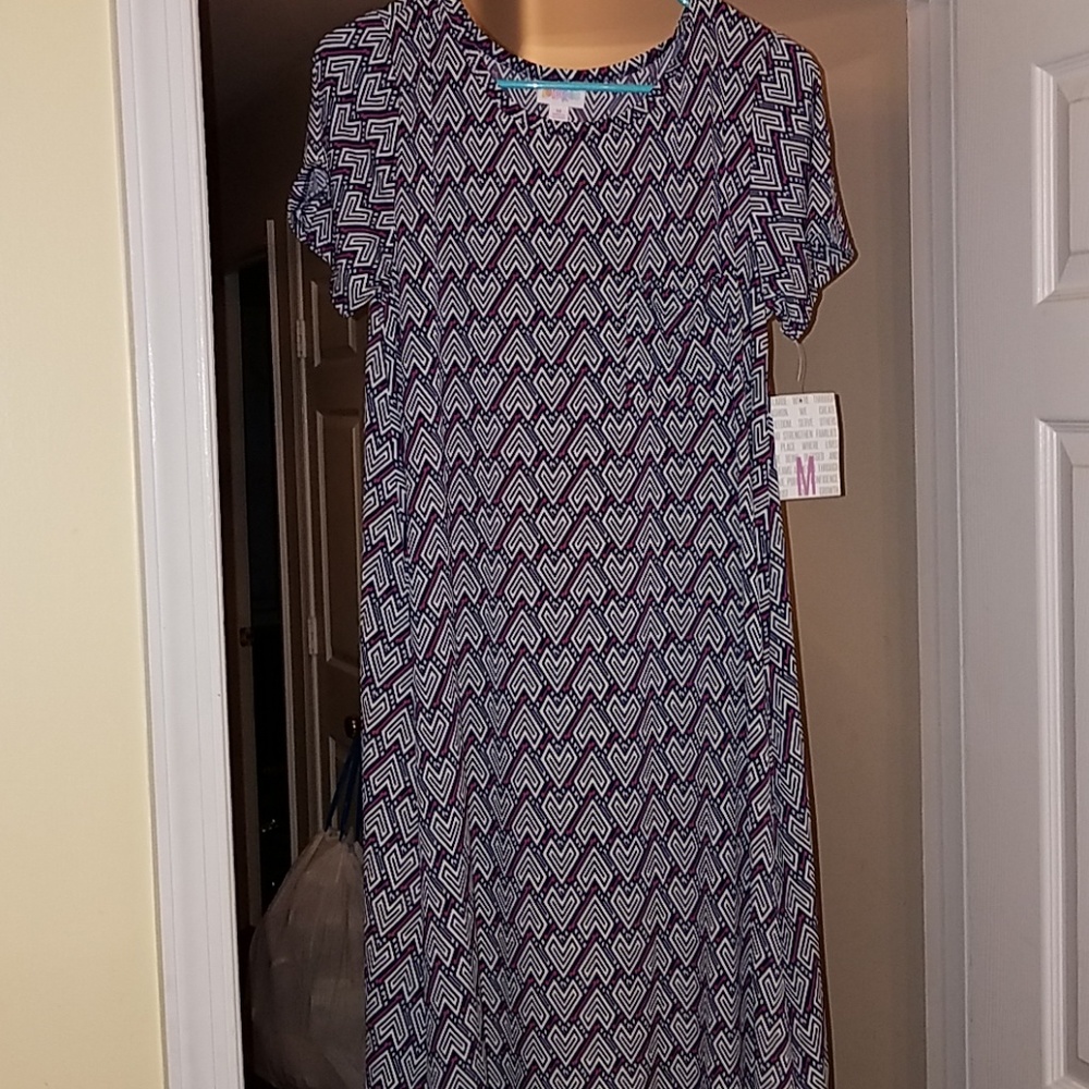 Brand new Medium Lularoe Carly Dress